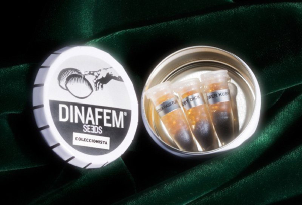 Collectors Pack Nº 5 - DINAFEM | TanieSianie.pl