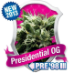 Presidential OG - ROYAL QUEEN SEEDS | TanieSianie.pl