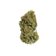 Sour Diesel - ROYAL QUEEN SEEDS | TanieSianie.pl