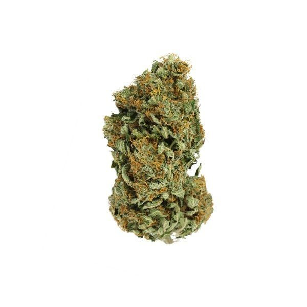 Sour Diesel - ROYAL QUEEN SEEDS | TanieSianie.pl