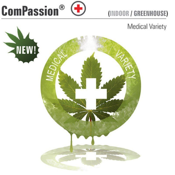 CBD ComPassion - DUTCH PASSION | TanieSianie.pl