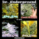 Surprise Killer Mix - DR UNDERGROUND | TanieSianie.pl