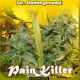 Painkiller - DR UNDERGROUND | TanieSianie.pl