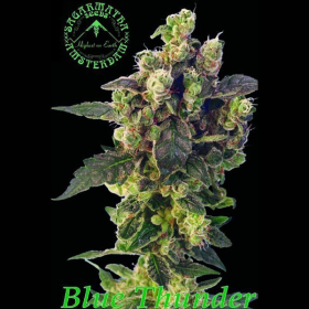 Blue Thunder - SAGARMATHA | TanieSianie.pl