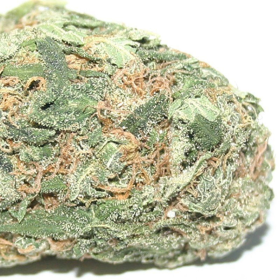Hawaiian Punch - SAGARMATHA | TanieSianie.pl