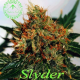 Slyder - SAGARMATHA | TanieSianie.pl