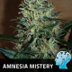 Amnesia Mistery - POSITRONICS | TanieSianie.pl