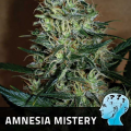 Amnesia Mistery - POSITRONICS