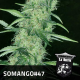 Somango 47 - POSITRONICS | TanieSianie.pl