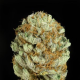 Blue Kush - DINAFEM | TanieSianie.pl
