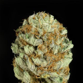 Blue Kush - DINAFEM | TanieSianie.pl