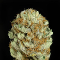 Blue Kush - DINAFEM