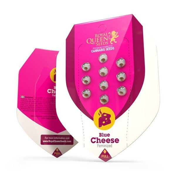 Blue Cheese - ROYAL QUEEN SEEDS | TanieSianie.pl