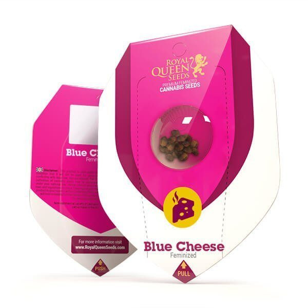 Blue Cheese - ROYAL QUEEN SEEDS | TanieSianie.pl