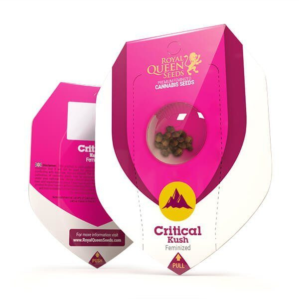 Critical Kush - ROYAL QUEEN SEEDS | TanieSianie.pl