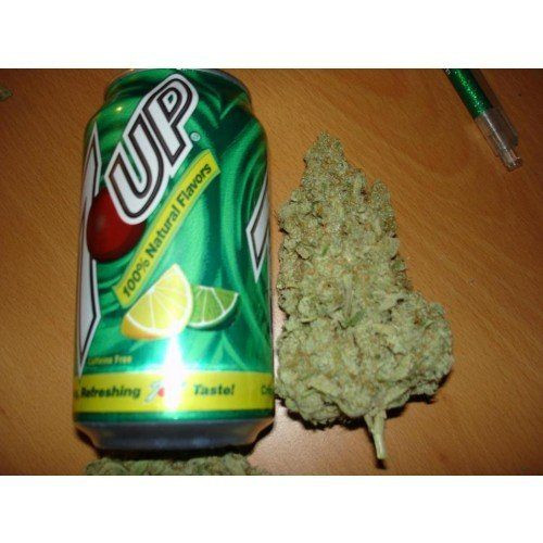 Ice Cream - PARADISE SEEDS | TanieSianie.pl