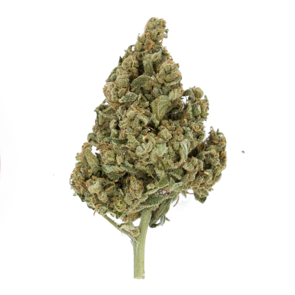 Lemon Shining Silver Haze - ROYAL QUEEN SEEDS | TanieSianie.pl