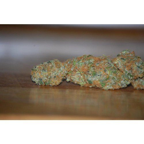 Vertigo Auto - PARADISE SEEDS | TanieSianie.pl