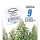 High Potency Auto Mix - DUTCH PASSION | TanieSianie.pl