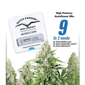 High Potency Auto Mix - DUTCH PASSION | TanieSianie.pl