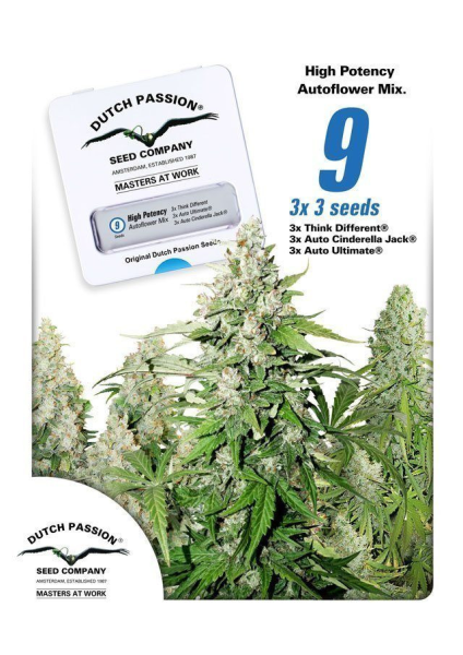 High Potency Auto Mix - DUTCH PASSION | TanieSianie.pl