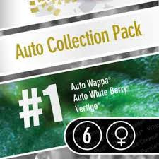 Auto Collection #1 - PARADISE SEEDS | TanieSianie.pl