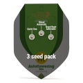 Autoflowering Mix  - ROYAL QUEEN SEEDS