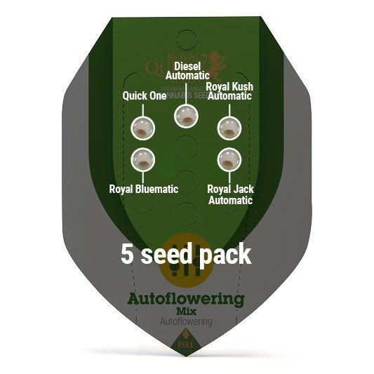 Autoflowering Mix  - ROYAL QUEEN SEEDS | TanieSianie.pl