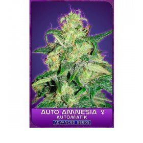 Auto Amnesia - ADVANCED SEEDS | TanieSianie.pl