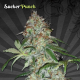Sucker Punch - AUTO SEEDS | TanieSianie.pl