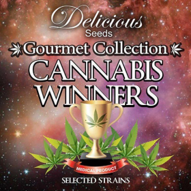 Gourmet Collection Cannabis Winners 1 - DELICOUS SEEDS | TanieSianie.pl
