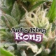 Auto King Kong - DR UNDERGROUND | TanieSianie.pl