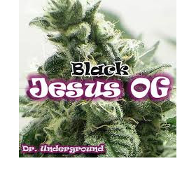Black Jesus OG - DR UNDERGROUND | TanieSianie.pl