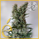 Jack Ultra CBD - ELITE SEEDS | TanieSianie.pl