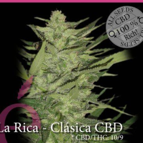 La Rica Clásica CBD - ELITE SEEDS | TanieSianie.pl