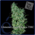 Llimonet Haze Clásica THC - ELITE SEEDS