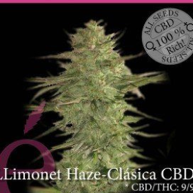Llimonet Haze Clásica CBD - ELITE SEEDS | TanieSianie.pl