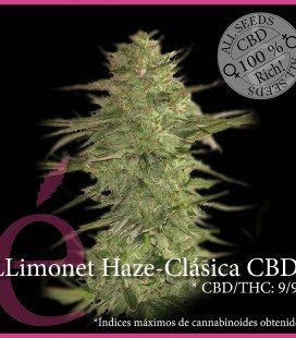 Llimonet Haze Clásica CBD - ELITE SEEDS | TanieSianie.pl