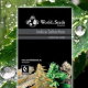 Indica Collection - WORLD OF SEEDS | TanieSianie.pl