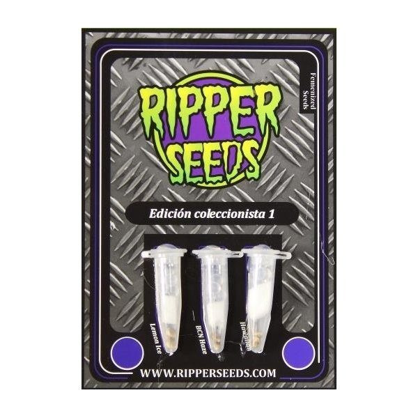 Collector 1 - RIPPER SEEDS | TanieSianie.pl
