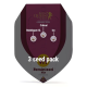 Feminized Mix - ROYAL QUEEN SEEDS | TanieSianie.pl