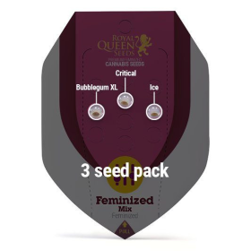 Feminized Mix - ROYAL QUEEN SEEDS | TanieSianie.pl