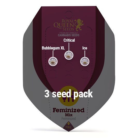 Feminized Mix - ROYAL QUEEN SEEDS | TanieSianie.pl