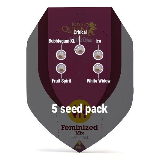Feminized Mix - ROYAL QUEEN SEEDS | TanieSianie.pl
