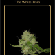 The White Train - MEPHISTO GENETICS | TanieSianie.pl