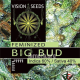 Big Bud - Vision Seeds | TanieSianie.pl