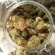 Auto Cinderella Jack - DUTCH PASSION | TanieSianie.pl