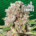 Mendocino Skunk - PARADISE SEEDS