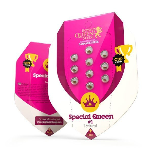 Special Queen #1 - ROYAL QUEEN SEEDS | TanieSianie.pl