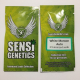 White Monster Auto - SENSI GENETICS | TanieSianie.pl